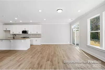 4333 Black Court, Harrisburg, NC 28075 - Photo 9