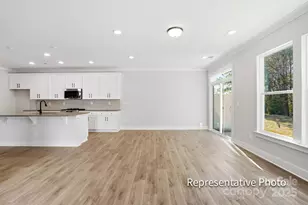 4333 Black Ct, Harrisburg, NC 28075 - Photo 9