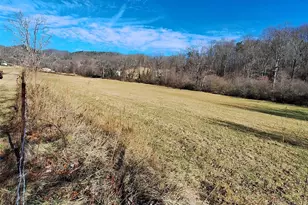 40 Georges Branch Rd, Candler, NC 28715 - Photo 3