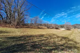 40 Georges Branch Rd, Candler, NC 28715 - Photo 5