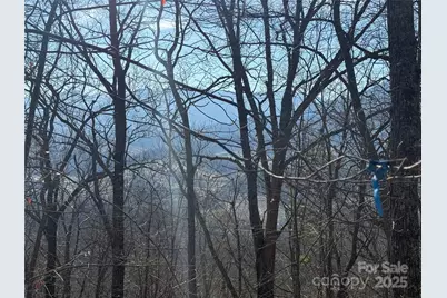 22,23,28 Brer Rabbit Trail, Waynesville, NC 28785 - Photo 17