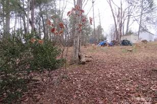 19 Westminster Dr, Asheville, NC 28804 - Photo 37