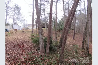 19 Westminster Drive, Asheville, NC 28804 - Photo 35