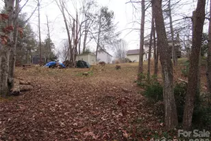 19 Westminster Dr, Asheville, NC 28804 - Photo 33