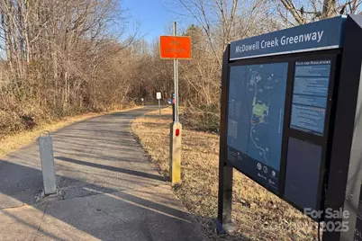 17113 Doe Valley Court, Cornelius, NC 28031 - Photo 33
