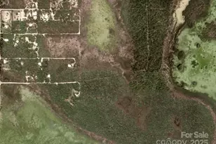 2828 E Pine St, Mount Airy, NC 27030 - Photo 15