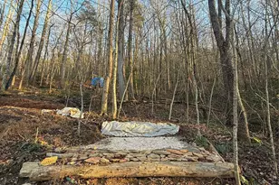 2828 E Pine St, Mount Airy, NC 27030 - Photo 27