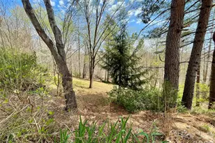 926 Cross Creek Dr, Rutherfordton, NC 28139 - Photo 37
