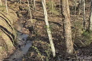 926 Cross Creek Dr, Rutherfordton, NC 28139 - Photo 33