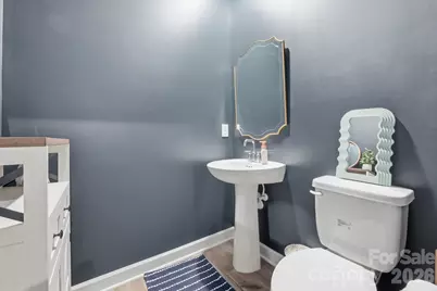 3911 Horsham Street, Fort Mill, SC 29707 - Photo 19