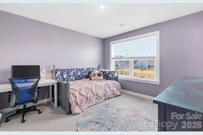 3911 Horsham Street, Fort Mill, SC 29707 - Photo 25