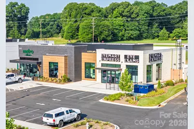 3911 Horsham Street, Fort Mill, SC 29707 - Photo 31