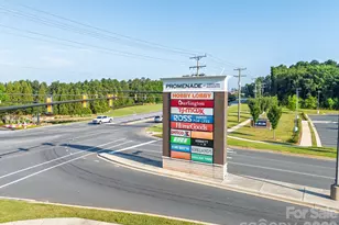 3911 Horsham St, Fort Mill, SC 29707 - Photo 29