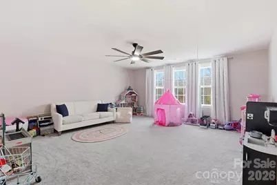 3911 Horsham Street, Fort Mill, SC 29707 - Photo 11