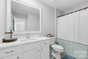 3911 Horsham St, Fort Mill, SC 29707 - Photo 27