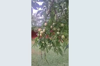 3391 Asbury Road, Mount Airy, NC 27030 - Photo 29