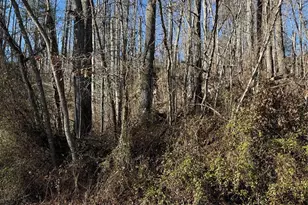 Tbd George McKinney Circle, Spruce Pine, NC 28777 - Photo 1