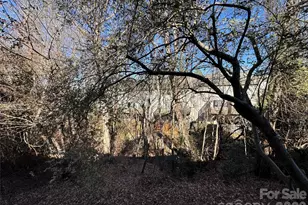 1319 Maple Shade Ln, Charlotte, NC 28270 - Photo 25