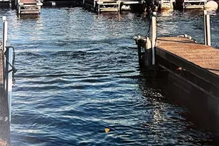 186 Southhaven Dr, Mooresville, NC 28117 - Photo 33