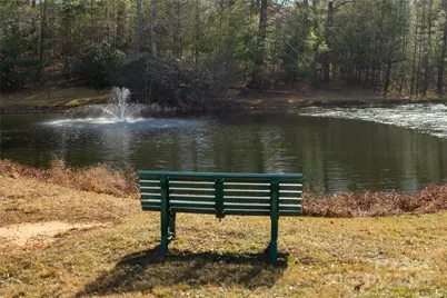 100 Creeks End Circle, Mills River, NC 28759 - Photo 37