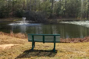 100 Creeks End Cir, Mills River, NC 28759 - Photo 37