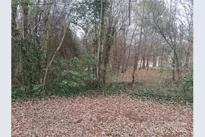 111 Parmer Street, Forest City, NC 28043 - Photo 5