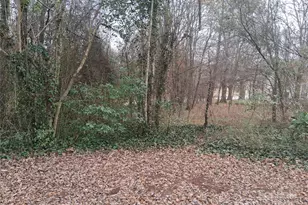 111 Parmer St, Forest City, NC 28043 - Photo 5