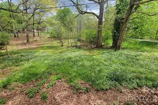 636 Harrison Sanders Ln, Lincolnton, NC 28092 - Photo 3