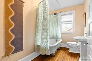 12 Bearden Ave, Asheville, NC 28801 - Photo 19