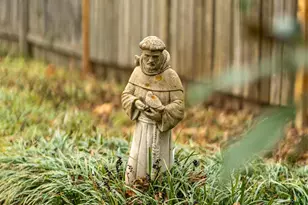 12 Bearden Ave, Asheville, NC 28801 - Photo 39