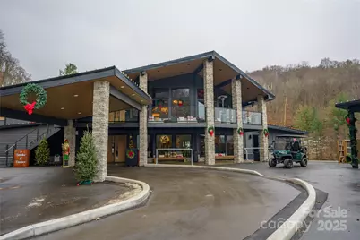 672 Chestnut Lane, Mars Hill, NC 28754 - Photo 43