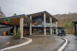 672 Chestnut Ln, Mars Hill, NC 28754 - Photo 43