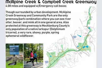 7928 E Lane Drive, Charlotte, NC 28212 - Photo 15