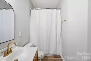 11284 Lions Mane St, Charlotte, NC 28273 - Photo 33