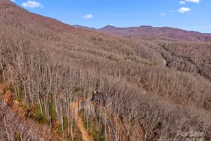 252 Idylwild Ln, Black Mountain, NC 28711 - Photo 41