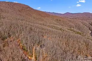 252 Idylwild Ln, Black Mountain, NC 28711 - Photo 39