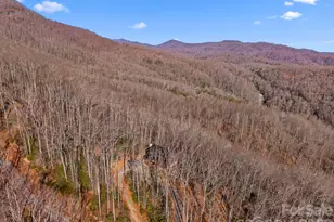 252 Idylwild Ln, Black Mountain, NC 28711 - Photo 41