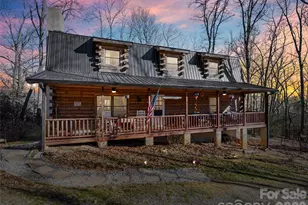 252 Idylwild Ln, Black Mountain, NC 28711 - Photo 33