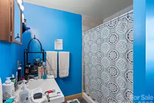 252 Idylwild Ln, Black Mountain, NC 28711 - Photo 19