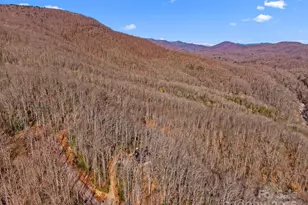 252 Idylwild Ln, Black Mountain, NC 28711 - Photo 39