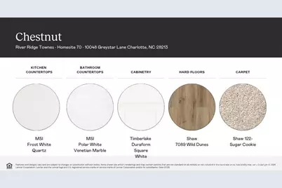 20005 Faithwood Court, Charlotte, NC 28213 - Photo 3