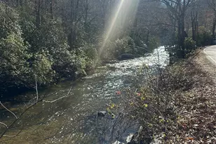 177 Country Rd, Brevard, NC 28712 - Photo 47