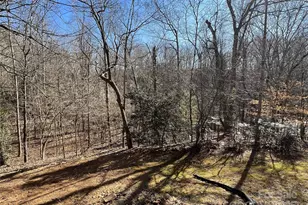 159 Wild Cherry Ln, Rutherfordton, NC 28139 - Photo 45