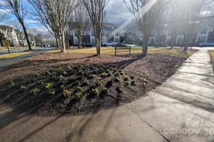 20017 Metaphor Mews None, Davidson, NC 28026 - Photo 5