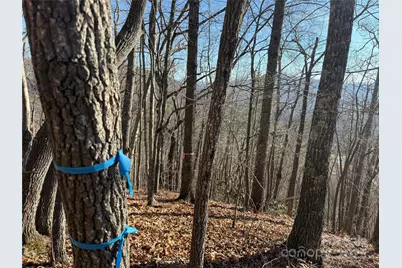 12,13,27 Brer Rabbit Trail #12,13,27, Waynesville, NC 28785 - Photo 9