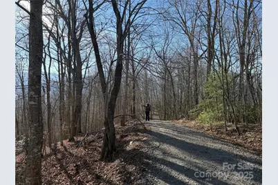 18,19,20,21 Brer Rabbit Trail #18,19,20,21, Waynesville, NC 28785 - Photo 15