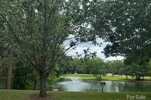 9199 Horseshoe Cir, Indian Land, SC 29707 - Photo 7