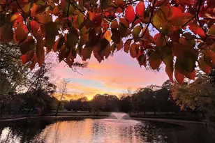 9199 Horseshoe Cir, Indian Land, SC 29707 - Photo 5