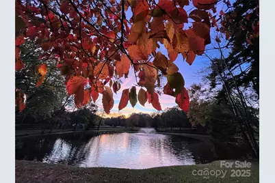 9199 Horseshoe Circle, Indian Land, SC 29707 - Photo 3