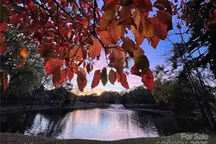 9199 Horseshoe Cir, Indian Land, SC 29707 - Photo 3